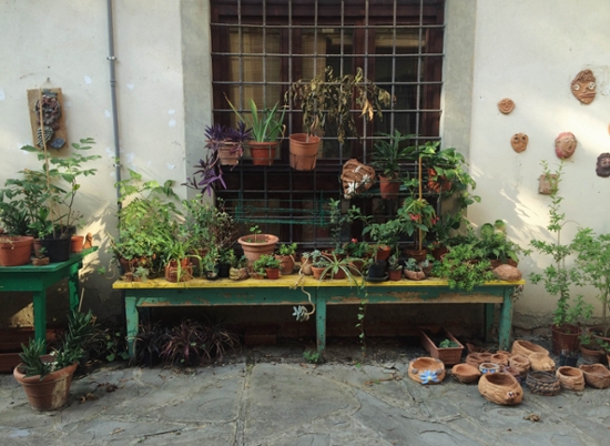 A smalle container garden in an outdoor area against a wall.
